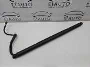 Heckklappe Gasdruckfeder links VW TIGUAN (AD1) 1.5 TSI D1458353