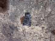 Beschleunigungssensor MAZDA CX-5 (KE, GH) 2.2 D AWD