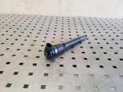 Einspritzdüse NISSAN QASHQAI II (J11, J11_) 1.6 dCi 0445110414 H8201055367