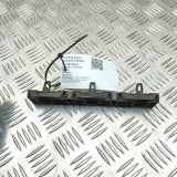 Schwellerhalter hinten links TESLA MODEL S P100D AWD 1003691-00-B