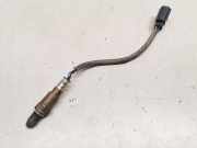 Sauerstoffsensor (Lambdasensor) VOLVO S90 II 2.0 D3 31439594