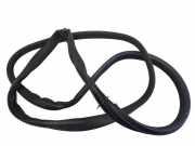 Türgummi links vorne Volvo V50 (545)