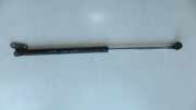 Heckklappe Gasdruckfeder links TOYOTA LAND CRUISER 100 (_J1_) 4.2 TD (HDJ100_)