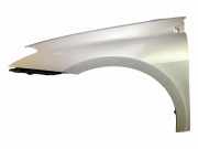 Kotflügel vorne links RENAULT LAGUNA III (BT0/1) 1.5 dCi (BT00, BT0A, BT0T, BT1J)