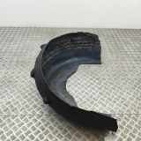 Innenkotflügel hinten links BMW X6(G06) xDrive 30 d 7478759