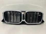 Gitter BMW X4 (G02, F98) M40i 9850062 5A1A3F5