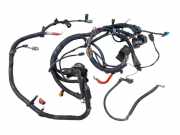 Motor Kabelbaum FORD FUSION (JU_) 1.4 TDCi 2S6T-14K011-EH