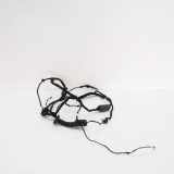 Türverkabelung hinten rechts BMW 6 Gran Turismo (G32) 630 i 8795426 4045688