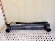 Ladeluftkühler Chevrolet Captiva (C100, C140) 96629070