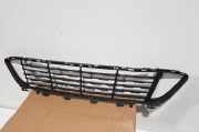 Kühlergrill unten BMW X1 (F48) 51117354773
