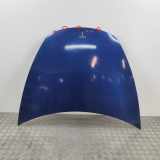 Motorhaube TESLA MODEL 3 EV AWD 1081390-E0-C