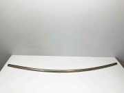 Windschutzscheibenverkleidung MERCEDES-BENZ SL (R230) 500 (230.471) A2307200978 2307200978