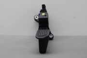 Fahrpedal Lexus NX 1 () 781100W040