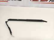 Heckklappendämpfer links Lexus NX 1 () 0010860746