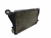Ladeluftkühler VW Passat B6 (3C2) 3C0145805R