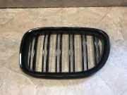 Kühlergrill oben BMW 7er (F01, F02, F03, F04)