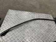 Zier-/Schutzleiste für Türscheibe BMW X5 (E70)