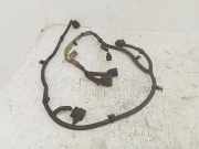 Kabelbaum Hinteren Parksensoren HYUNDAI SANTA FÉ II (CM) 2.2 CRDi 4x4