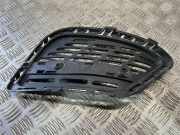 Gitter vorne unten MERCEDES-BENZ S (W222, V222, X222) S 350 BlueTEC / d 4-matic (222.033, 222.133) A2228850254