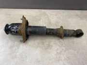 Pneumo-Stoßdämpfer hinten links TOYOTA PRIUS Hatchback (_W2_) 1.5 (NHW2_) 4853047051