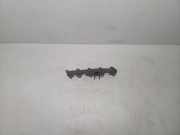 Auspuffkrümmer Chevrolet Captiva (C100, C140)