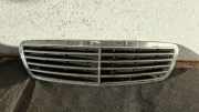 Gitter Grill vorne links MERCEDES-BENZ S (W220) S 400 CDI (220.028, 220.128) A2208800383