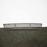 Gitter vorne unten BMW 5 (F10) 520 d N/A