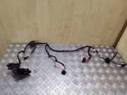 Kabel der vorderen linken Tür VW PASSAT B7 (362) 1.6 TDI 3AC971121AF