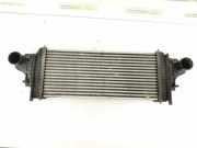 Ladeluftkühler MERCEDES-BENZ R (W251, V251) R 350 CDI 4-matic (251.124, 251.125) 1645001900 2515000000