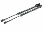 Heckklappe Gasdruckfeder links LEXUS UX (_AA1_, _AH1_, _MA1_) 250h (MZAH10) 7899300490N