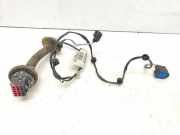 Türverkabelung hinten rechts FORD FOCUS IV (HN) 1.0 EcoBoost 98AG14A584CBG 98AG14A584