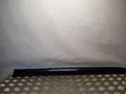 Türleiste hinten rechts