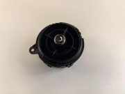 Frischluftgrill MINI COUNTRYMAN (R60) Cooper D 110116