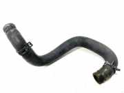 Schlauch Kühlung NISSAN MURANO I (Z50) 3.5 4x4 06331