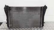 Ladeluftkühler VW Tiguan I (5N) 3C0145805P