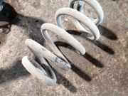 Fahrwerksfeder hinten rechts RENAULT MASTER III Furgon (FV) 2.3 dCi 180 FWD (FV04)