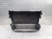 Kühler Fiat Tipo Schrägheck (356, 357) 00520526290