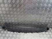 Gitter vorne unten MERCEDES-BENZ C (W205) C 220 BlueTEC / d (205.004) A2058852123
