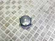 Nebelscheinwerfer rechts vorne Renault Megane II (BM/CM) 89210094