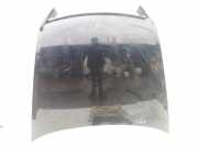 Motorhaube VW Phaeton (3D)