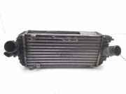 Ladeluftkühler Kia Optima IV (JF) 3930084400