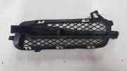 Gitter vorne unten JAGUAR XF (X250) 3.0 D 8X2315K232BC