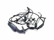 Türverkabelung hinten links BMW 7 (F01, F02) 750 i 9147281-01 9262895