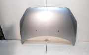 Motorhaube PEUGEOT 307 (3A/C) 2.0 HDi 135