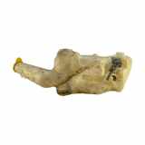 Behälter Scheibenwaschanlage Opel Zafira A (T98)