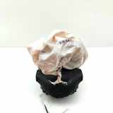 Lenkrad Airbag HYUNDAI KONA EV SEL 80100-J9000TRY 80100-J9000