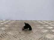 Nockenwellensensor HONDA CIVIC VIII Hatchback (FN, FK) 2.2 CTDi (FK3) 0281002406