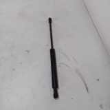 Gasfeder für Motorhaube BMW 5er (E39) 51238174866