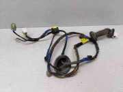 Türverkabelung hinten rechts HYUNDAI SONATA V (NF) 2.0 CRDi 916603K021