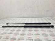 Gasfeder für Motorhaube Seat Leon (1M) 2315100